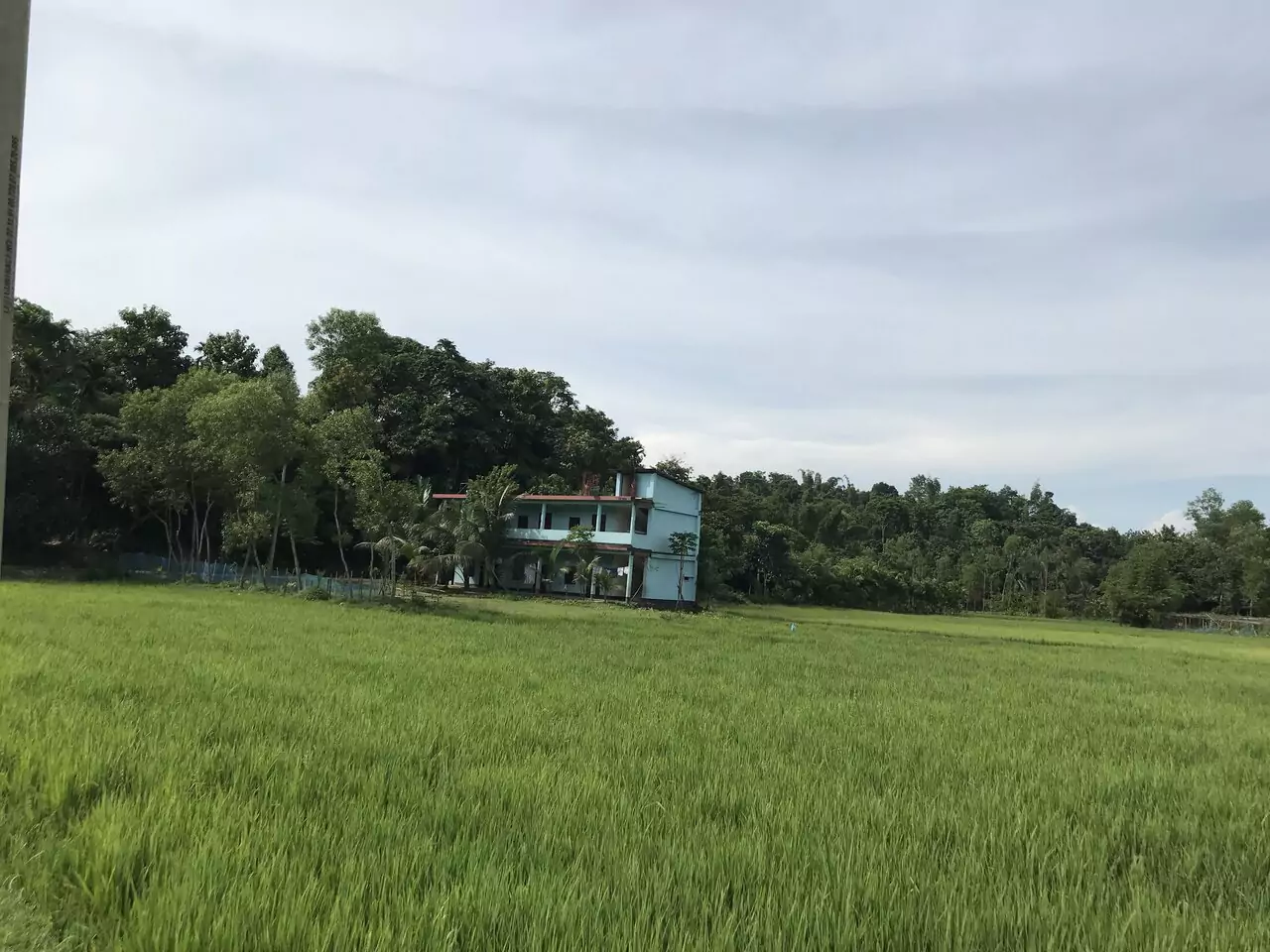 মাহমুদিয়া মায্হারুল উলূম উমনপুর