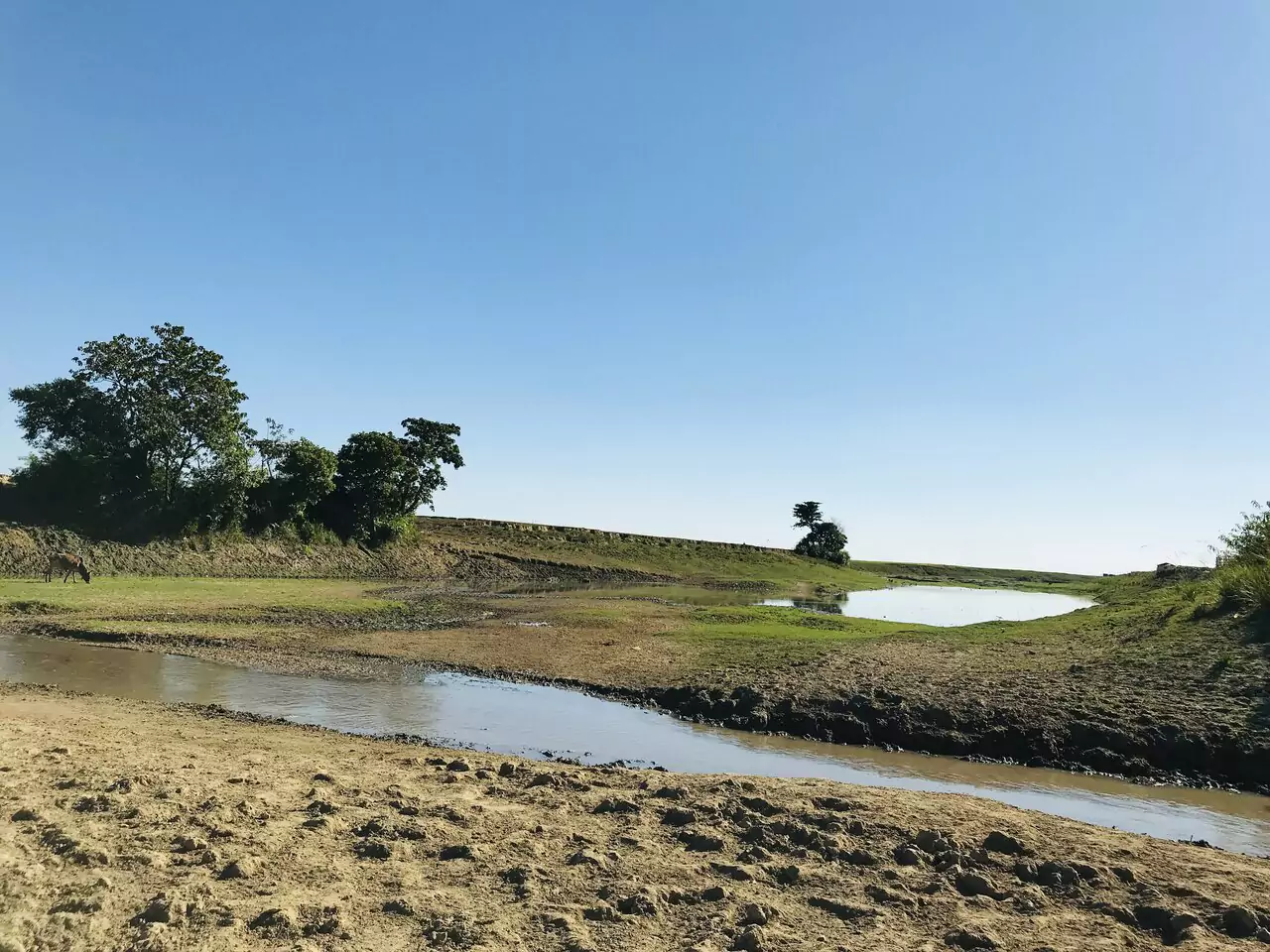 Nature of Umonpur