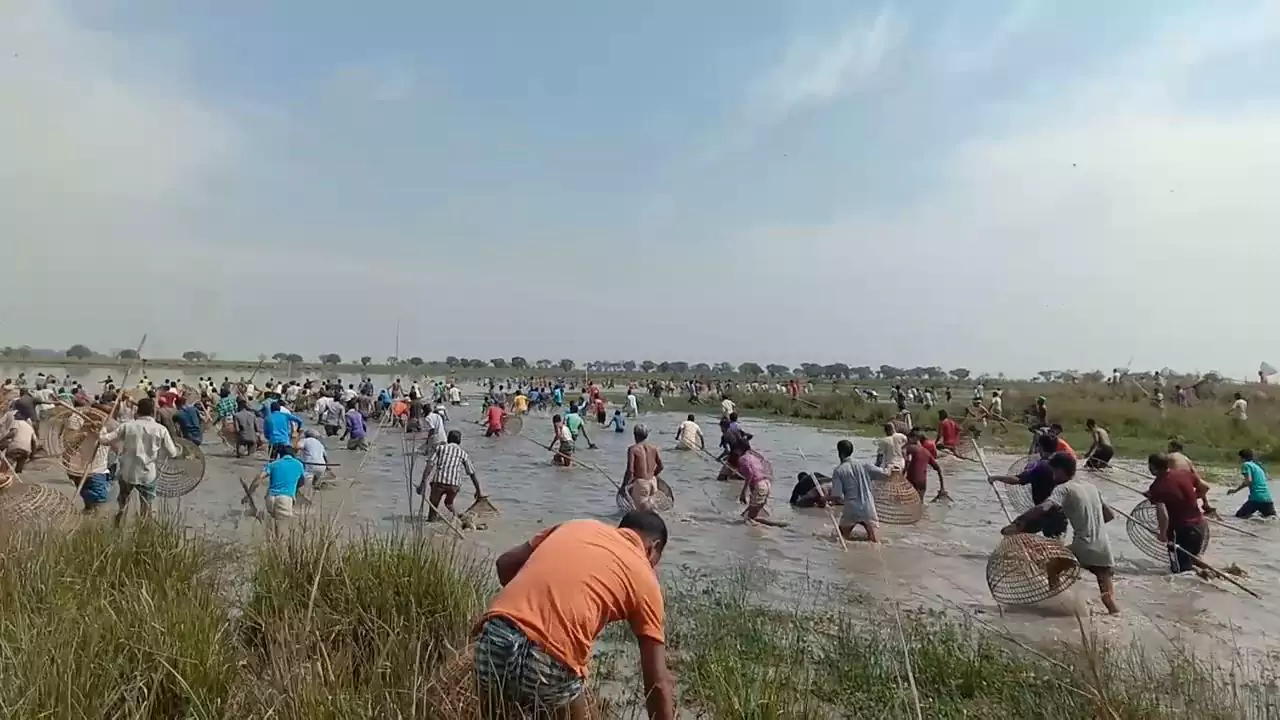 উমনপুর দুলভ বিলে পলো বাওয়া উৎসব ফেব্রুয়ারী ২০২১ইং